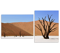 Stampa di paesaggio su quadri moderni divisi in pannelli