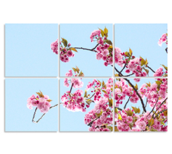 Tela in pannelli suddivisa in 6 sezioni