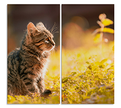 Stampe su pannelli simmetrici con composizione quadrato