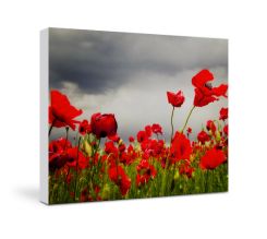 Stampa su tela 60 x 50 cm