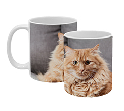Tazza personalizzata con immagine gatto