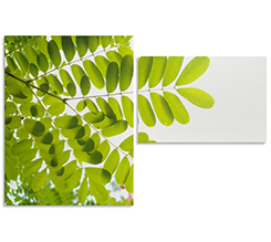 Tela 2 pannelli per le tue composizioni personalizzate