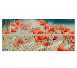 Tela 2 pannelli Parallel horizontal