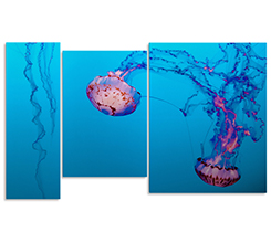 3 Pannelli in tela diversi per la tua composizione di quadro trittico