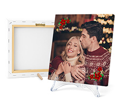 Tela light Stelle di Natale