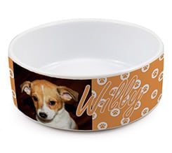 Ciotola per cani Impronte