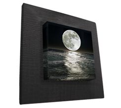 Tela con cornice in ecopelle coccodrillo