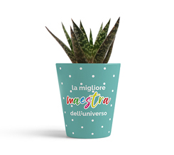 vaso personalizzato maestre