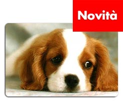 Crea Zerbino da Personalizzare