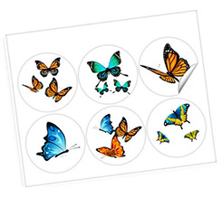 Adesivi Rotondi Farfalle - 6 Pezzi Diversi