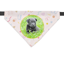 Bandana per cani personalizzata con grafica festoni compleanno