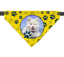 Bandana per cani personalizzata con grafica zampette gialle e nere