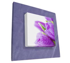 Tela con cornice in ecopelle viola