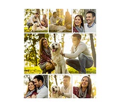 Poster Collage 7 Riquadri