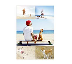 Poster collage 70x100 cm 5 riquadri