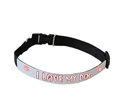 Collare per cani Fascia stretta My dog