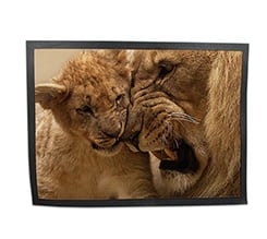 Zerbino in Gomma 80x60