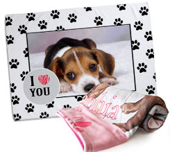 copertina animali personalizzata