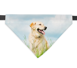 Bandana personalizzata per cani