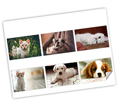 Adesivi Rettangolari - 6 Pezzi Diversi