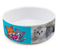 ciotola per gatti personalizzata con foto e grafica con gattini su sfondo celeste e cuore