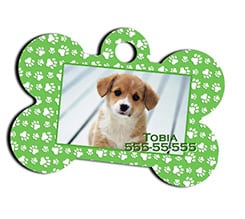 Medaglietta per Animali Texture Impronte