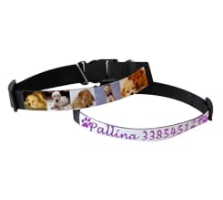 Crea Collare per Cani Stampato