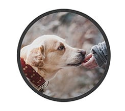 Stampa Zerbino Rotondo in Gomma 85 cm