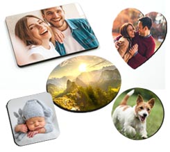 Calamite In Masonite