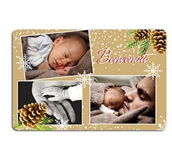 Zerbino in feltro Pigne natalizie