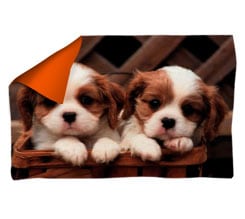 Coperta 150x100 doppio strato animali