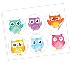 Adesivi Rotondi Gufetti - 6 Pezzi Diversi