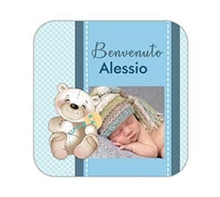 Calamita quadrata Orsetto celeste