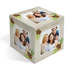 Foto cubo immagini Pine cone