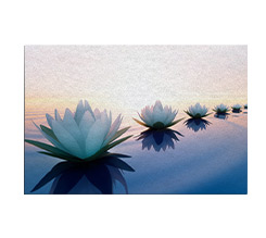 Zerbino Promozionale Medium - 160x100 cm