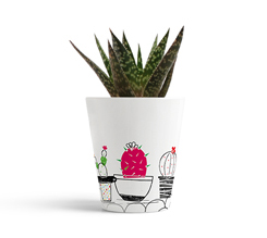 Vaso personalizzato con piantina