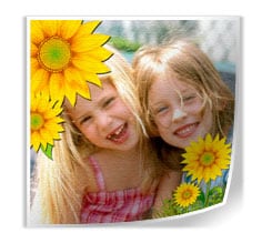 Tela Senza Telaio Girasoli