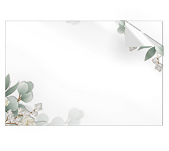 Adesivi rettangolari grandi foglie e fiori