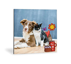 Foto su Legno Moderno con grafica vaso di fiori