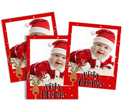 Polaroid magnetiche Merry Christmas Renna