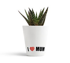vaso in ceramica per la festa della mamma con grafica i love mum