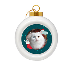 Pallina di Natale in Ceramica con Gatti e cornice blu