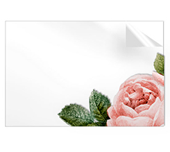Adesivi rettangolari grandi con rosa