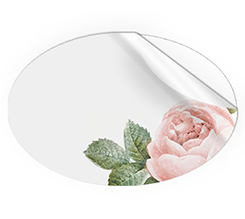Adesivi ovali grandi con rosa