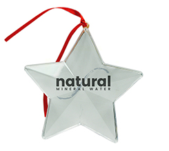 stella-natalizia-logo