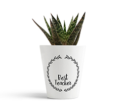 vaso in ceramica per maestre grafica best teacher