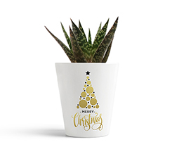 crea vaso natalizio personalizzato con grafica dorata con scritta merry christmas