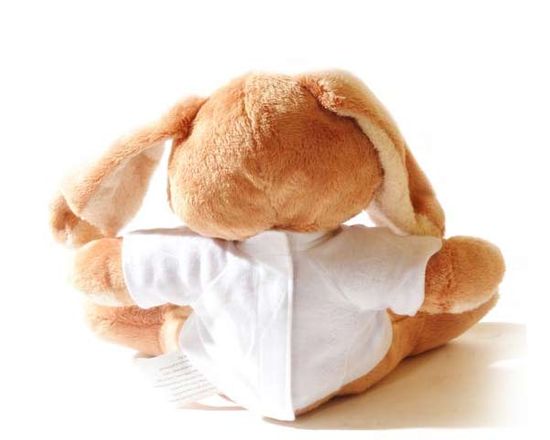 Stampa su Coniglietto di peluche