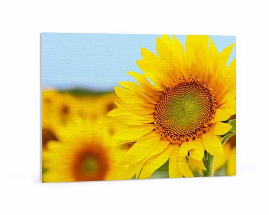 stampa di foto su tla canvas