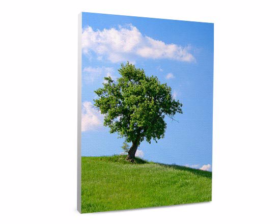 I dettagli più belli, metti in evidenza su una stampa su tela